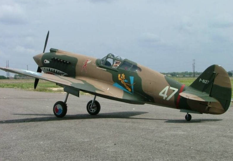 Curtiss P-40 Warhawk  1/3.5 scale by Jerry Bates