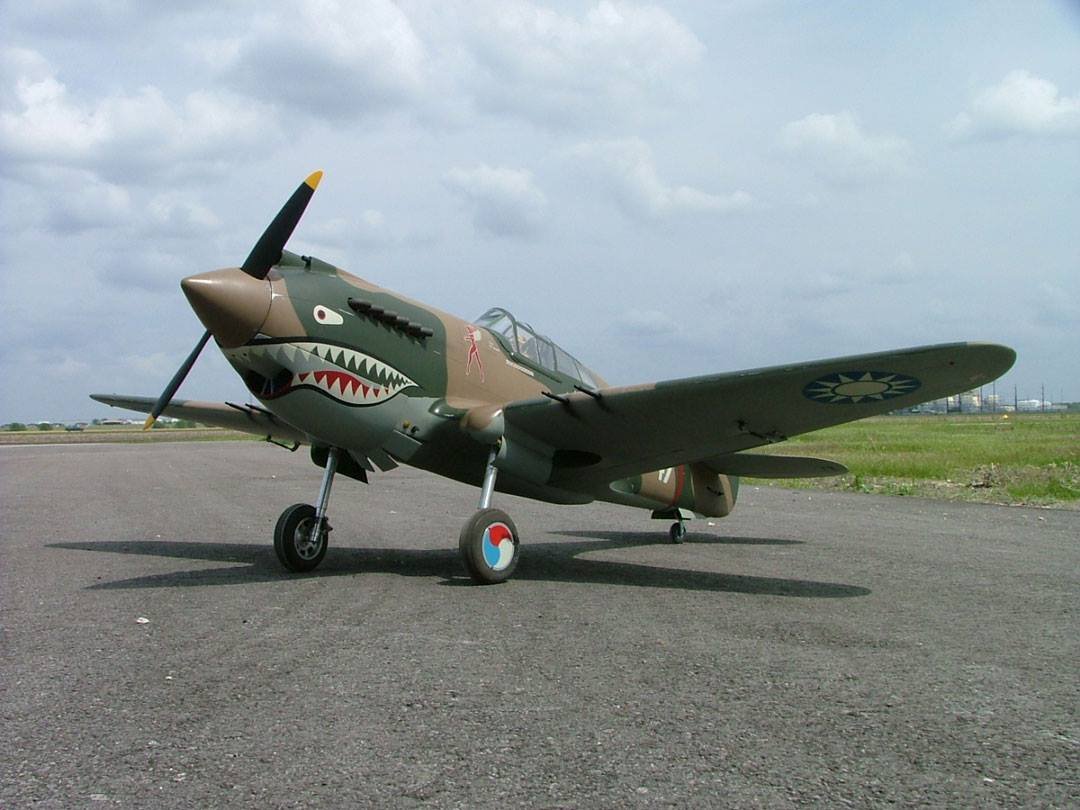 P40 Warhawk 97