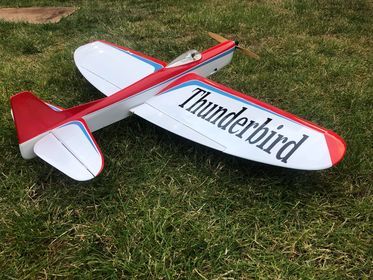 Thunderbird II (Differential Flaps) by Palmer CL Stunt