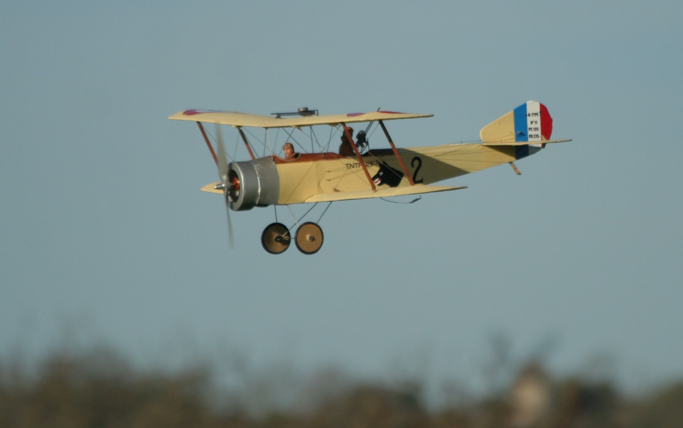 Sopwith 1/2 Strutter - 42 inch electric scale
